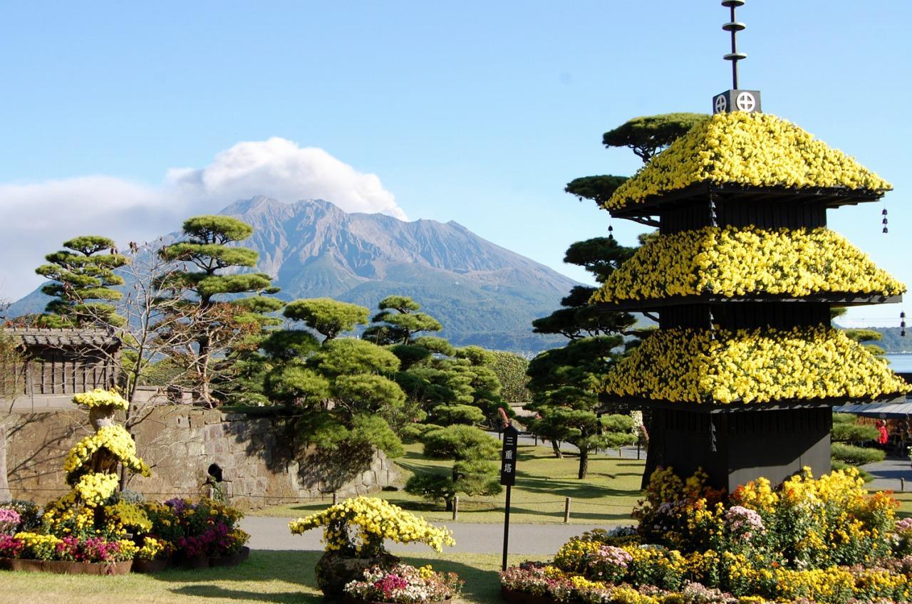 仙巖園(菊花祭)
